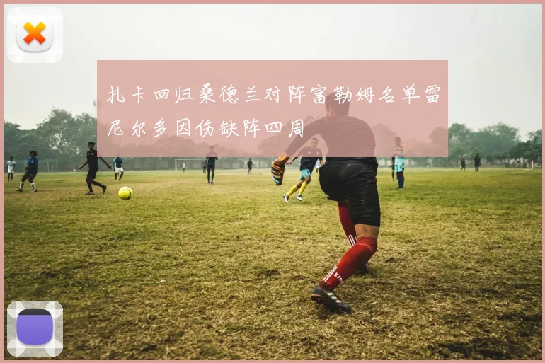 扎卡回归桑德兰对阵富勒姆名单雷尼尔多因伤缺阵四周