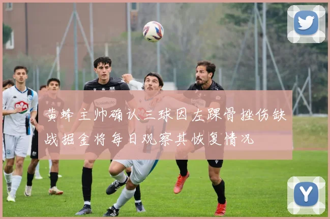 黄蜂主帅确认三球因左踝骨挫伤缺战掘金将每日观察其恢复情况
